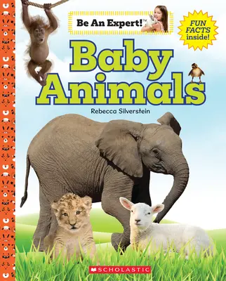 Animales bebés (¡Sea un experto!) - Baby Animals (Be an Expert!)