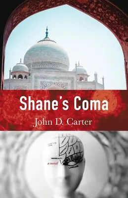 El coma de Shane - Shane's Coma