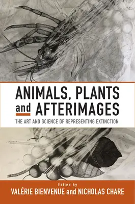 Animales, plantas e imágenes posteriores: El arte y la ciencia de representar la extinción - Animals, Plants and Afterimages: The Art and Science of Representing Extinction