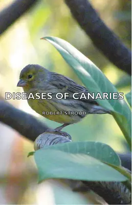 Enfermedades de los canarios - Diseases of Canaries