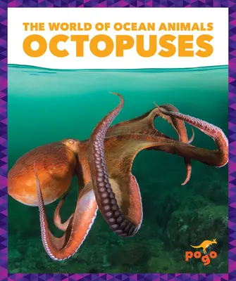 Pulpos - Octopuses