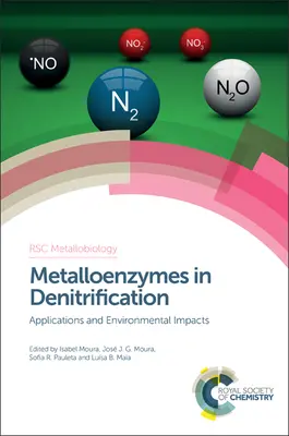 Metaloenzimas en la desnitrificación: Aplicaciones e impactos ambientales - Metalloenzymes in Denitrification: Applications and Environmental Impacts