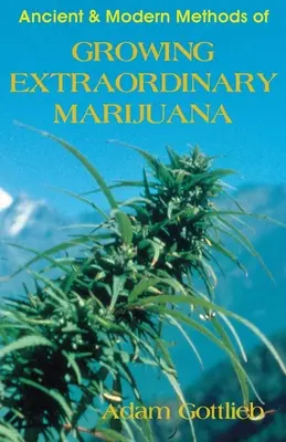 Cultivar marihuana extraordinaria - Growing Extraordinary Marijuana