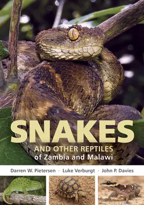 Guía de campo de las serpientes y otros reptiles de Zambia y Malawi - Field Guide to Snakes and Other Reptiles of Zambia and Malawi