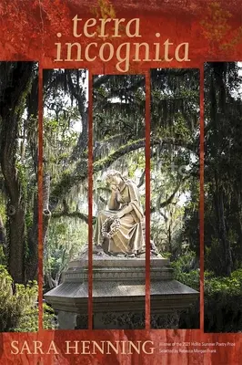 Terra Incognita: Poemas - Terra Incognita: Poems