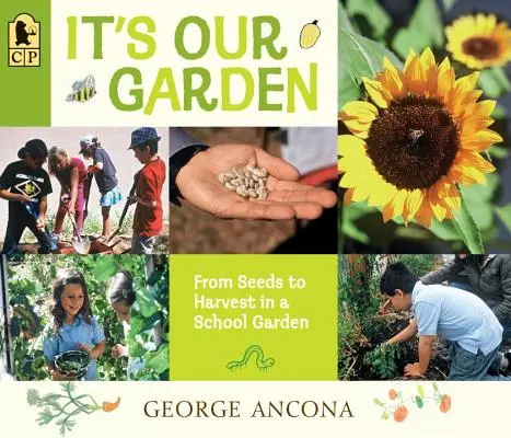 Es nuestro jardín: De la semilla a la cosecha en un huerto escolar - It's Our Garden: From Seeds to Harvest in a School Garden