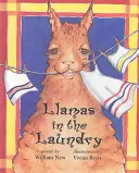 Llamas en la lavandería - Llamas in the Laundry