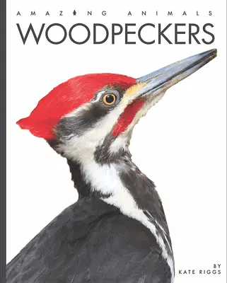 Pájaros carpinteros - Woodpeckers