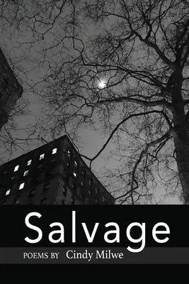 Salvamento - Salvage