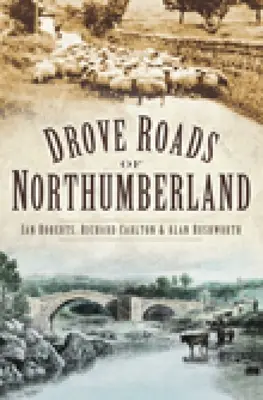 Las carreteras de Northumberland - Drove Roads of Northumberland