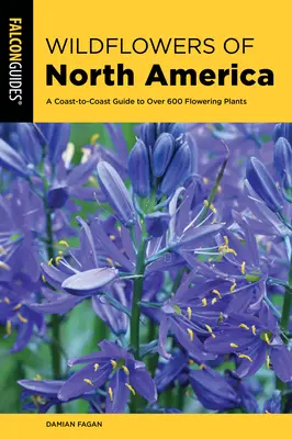 Flores silvestres de Norteamérica: Guía de costa a costa de más de 500 plantas con flores - Wildflowers of North America: A Coast-To-Coast Guide to More Than 500 Flowering Plants