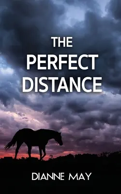 La distancia perfecta - The Perfect Distance