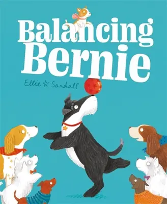 Equilibrio Bernie - Balancing Bernie