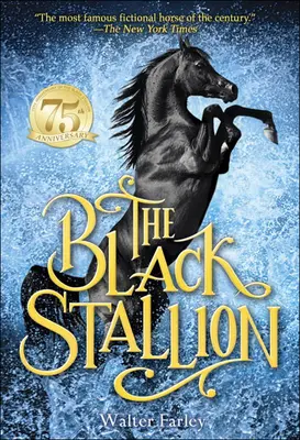 El Semental Negro - The Black Stallion