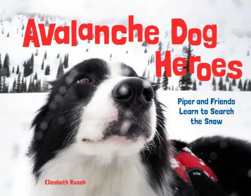 Héroes caninos de las avalanchas: Piper y sus amigos aprenden a buscar en la nieve - Avalanche Dog Heroes: Piper and Friends Learn to Search the Snow