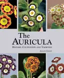 Aurícula: historia, cultivo y variedades - Auricula: History, Cultivation and Varieties