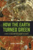 Cómo la Tierra se volvió verde: Breve historia de las plantas (3.800 millones de años) - How the Earth Turned Green: A Brief 3.8-Billion-Year History of Plants