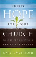 Hay esperanza para su iglesia: Primeros pasos para recuperar la salud y el crecimiento - There's Hope for Your Church: First Steps to Restoring Health and Growth