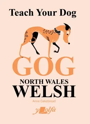 Enseña a tu perro Gog: Galés del Norte de Gales - Teach Your Dog Gog: North Wales Welsh