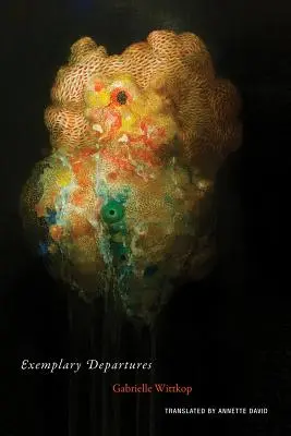 Salidas ejemplares - Exemplary Departures