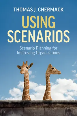 Uso de escenarios: Planificación de escenarios para mejorar las organizaciones - Using Scenarios: Scenario Planning for Improving Organizations