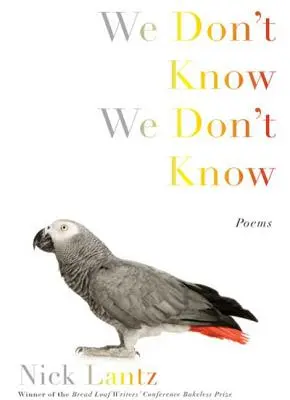 No sabemos No sabemos - We Don't Know We Don't Know