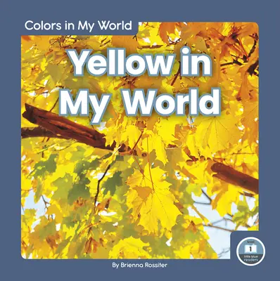 Amarillo en mi mundo - Yellow in My World