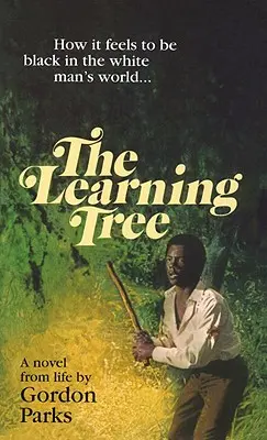 Árbol del aprendizaje - Learning Tree