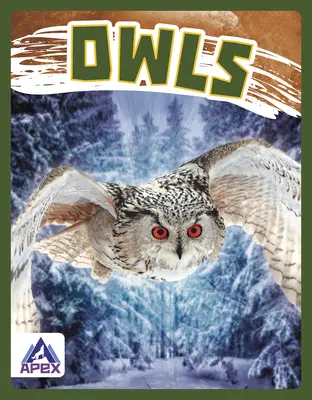 Búhos - Owls