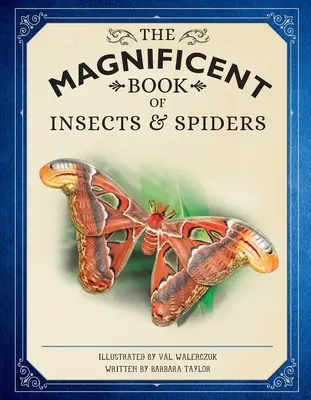 El magnífico libro de los insectos y las arañas: (Libros de animales para niños, Libros de historia natural para niños) - The Magnificent Book of Insects and Spiders: (Animal Books for Kids, Natural History Books for Kids)