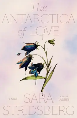 La Antártida del Amor - The Antarctica of Love