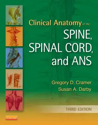 Anatomía clínica de la columna vertebral, la médula espinal y el sistema nervioso central - Clinical Anatomy of the Spine, Spinal Cord, and ANS