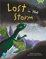 Lectura compartida del Bug Club: Perdidos en la tormenta (Year 1) - Bug Club Shared Reading: Lost in the Storm (Year 1)