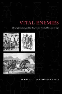Enemigos vitales: esclavitud, depredación y la economía política de la vida amerindia - Vital Enemies: Slavery, Predation, and the Amerindian Political Economy of Life