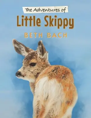 Las aventuras del pequeño Skippy - The Adventures of Little Skippy