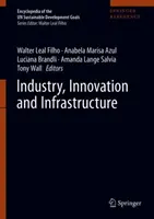 Industria, innovación e infraestructuras - Industry, Innovation and Infrastructure