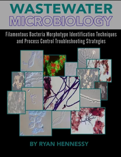 Microbiología de las aguas residuales, técnicas de identificación de morfotipos de bacterias filamentosas y estrategias de resolución de problemas de control de procesos - Wastewater Microbiology, Filamentous Bacteria Morphotype Identification Techniques, and Process Control Troubleshooting Strategies