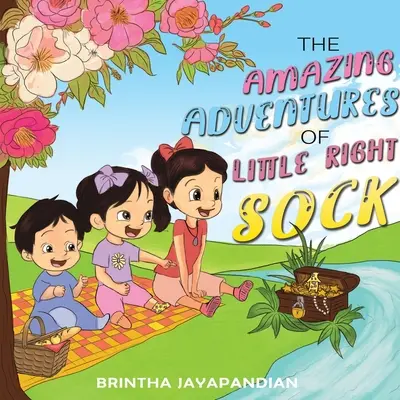Las asombrosas aventuras del pequeño calcetín derecho - The Amazing Adventures of Little Right Sock