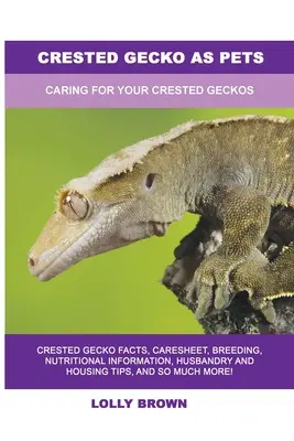 El geco crestado como mascota: El cuidado de la salamanquesa - Crested Gecko as Pets: Caring For Your Crested Geckos