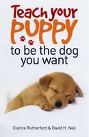 Enseñe a su cachorro a ser el perro que desea - Teach Your Puppy to be the Dog You Want