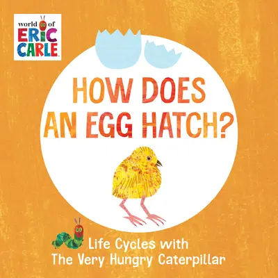 ¿Cómo eclosiona un huevo? Ciclos vitales con la oruga muy hambrienta - How Does an Egg Hatch?: Life Cycles with the Very Hungry Caterpillar