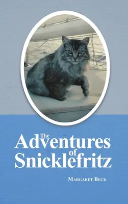 Las aventuras de Snicklefritz - The Adventures of Snicklefritz