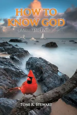 Cómo conocer a Dios: Yo Soy... Que Yo Soy... - How to Know God: I Am... That I Am...