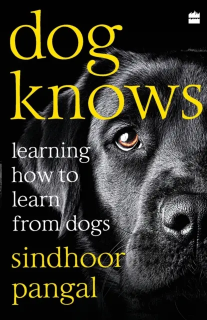 El perro sabe: aprender a aprender de los perros - Dog Knows: Learning How to Learn from Dogs