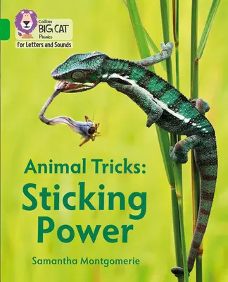 Trucos de animales: Poder adhesivo - Banda 05/Verde - Animal Tricks: Sticking Power - Band 05/Green