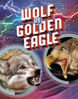 Lobo contra águila real - Wolf vs Golden Eagle