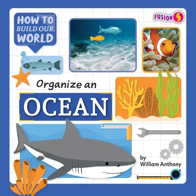 Organizar un océano - Organize an Ocean