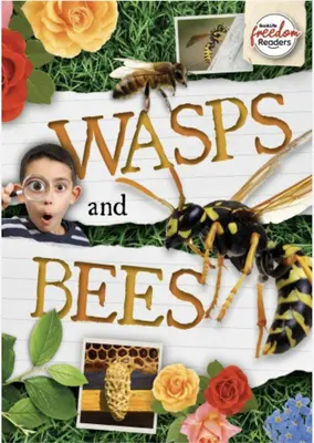 Avispas y abejas - Wasps and Bees