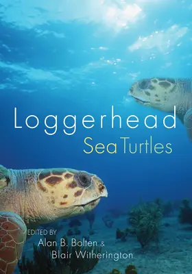 Tortugas bobas - Loggerhead Sea Turtles