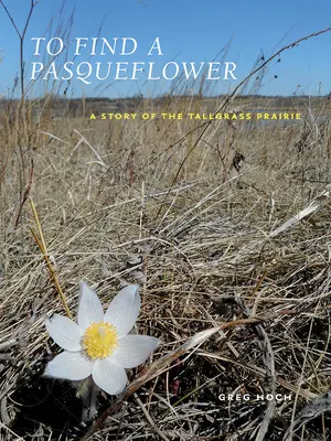 To Find a Pasqueflower: Una historia de la pradera de Tallgrass - To Find a Pasqueflower: A Story of the Tallgrass Prairie